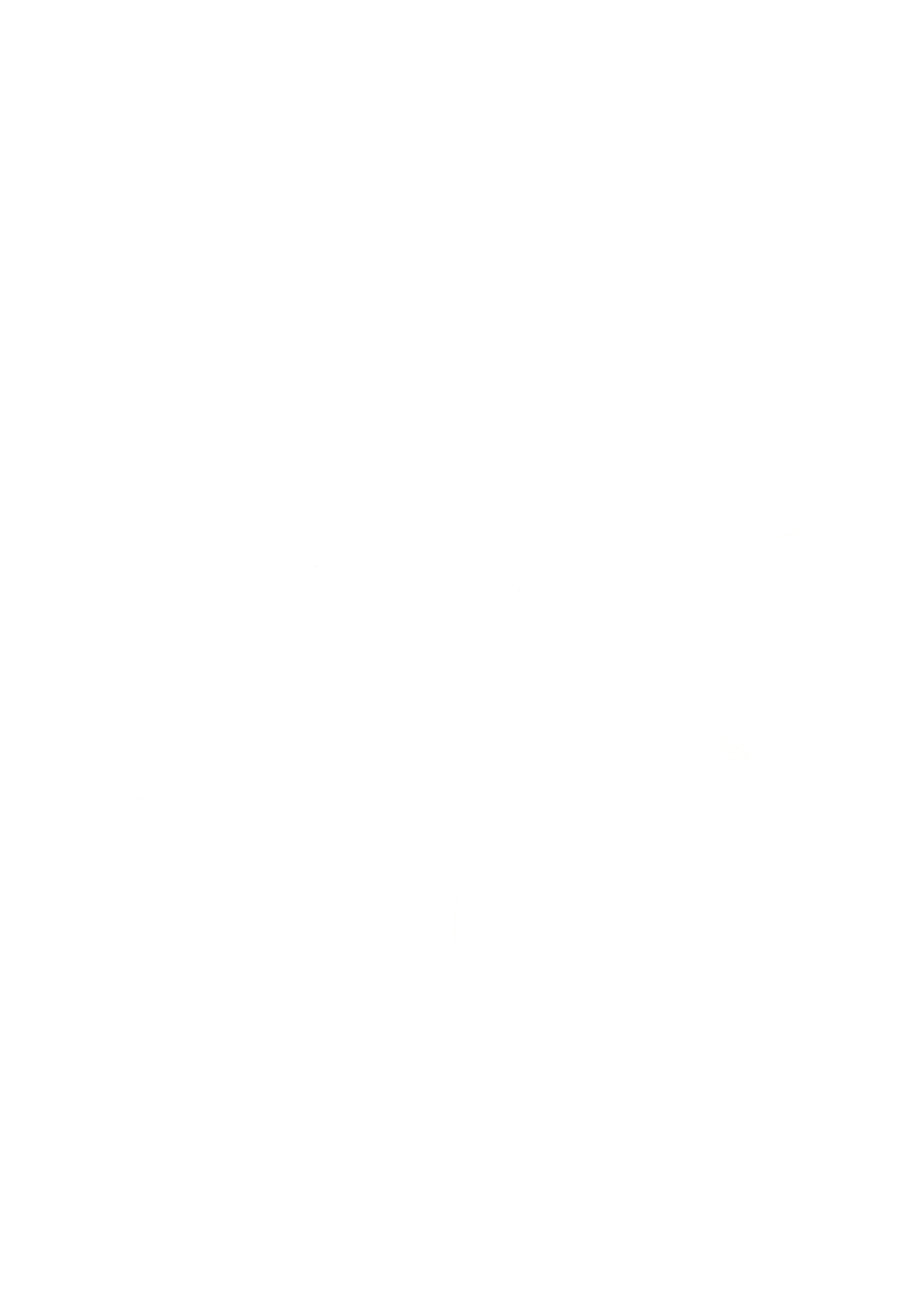Daisy Flower Illustration